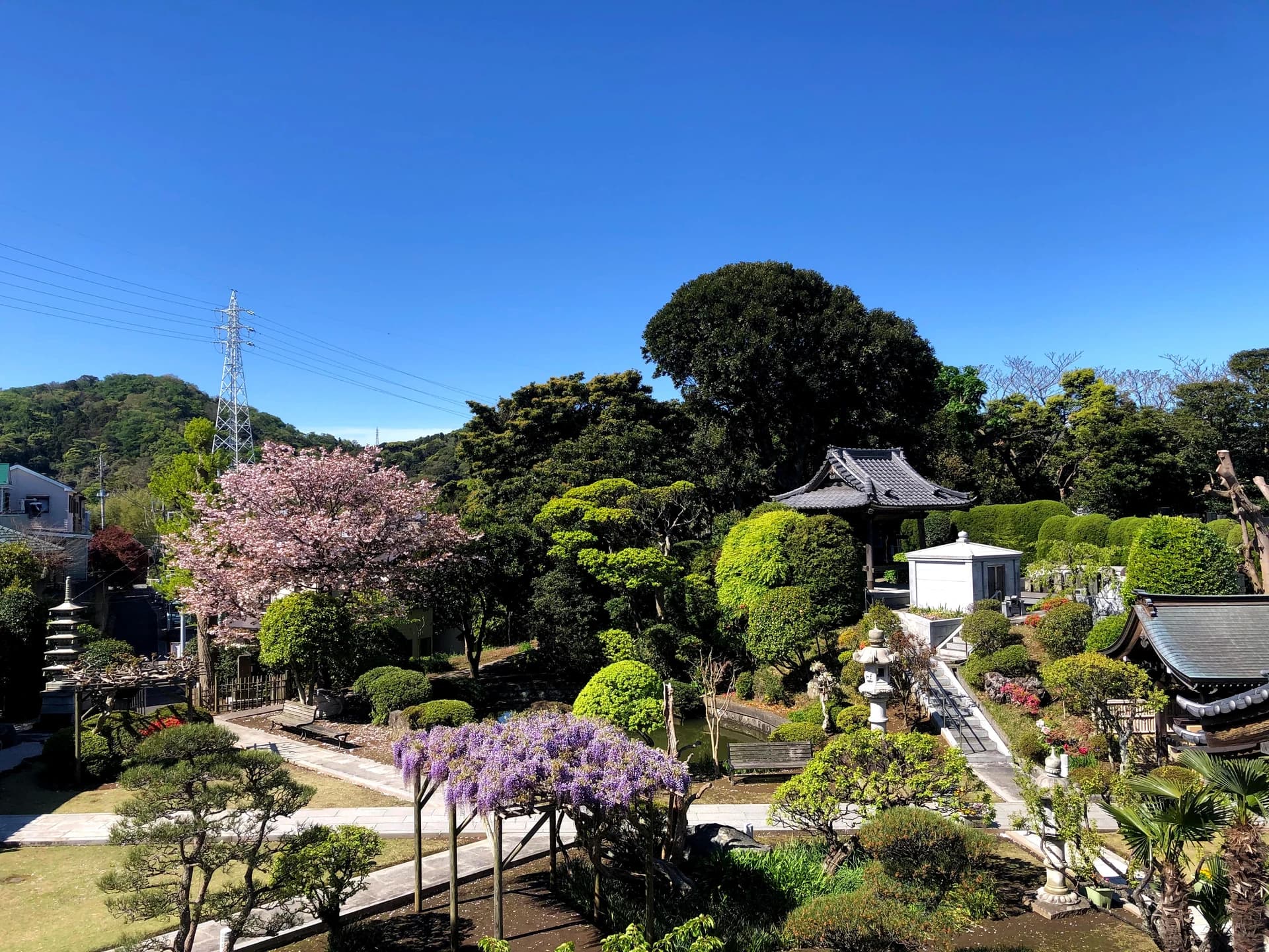 大光寺 境内