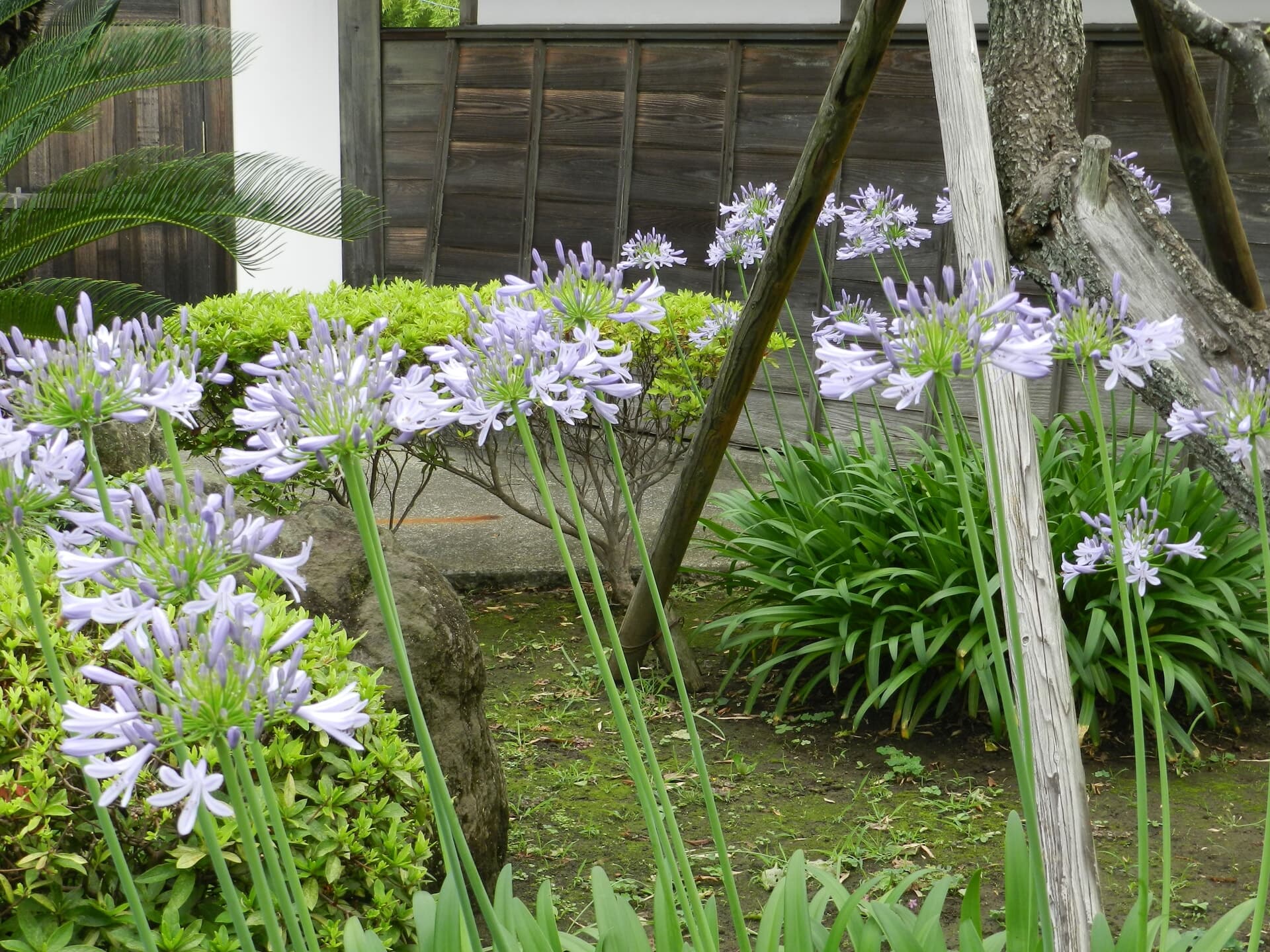 大光寺 写真1