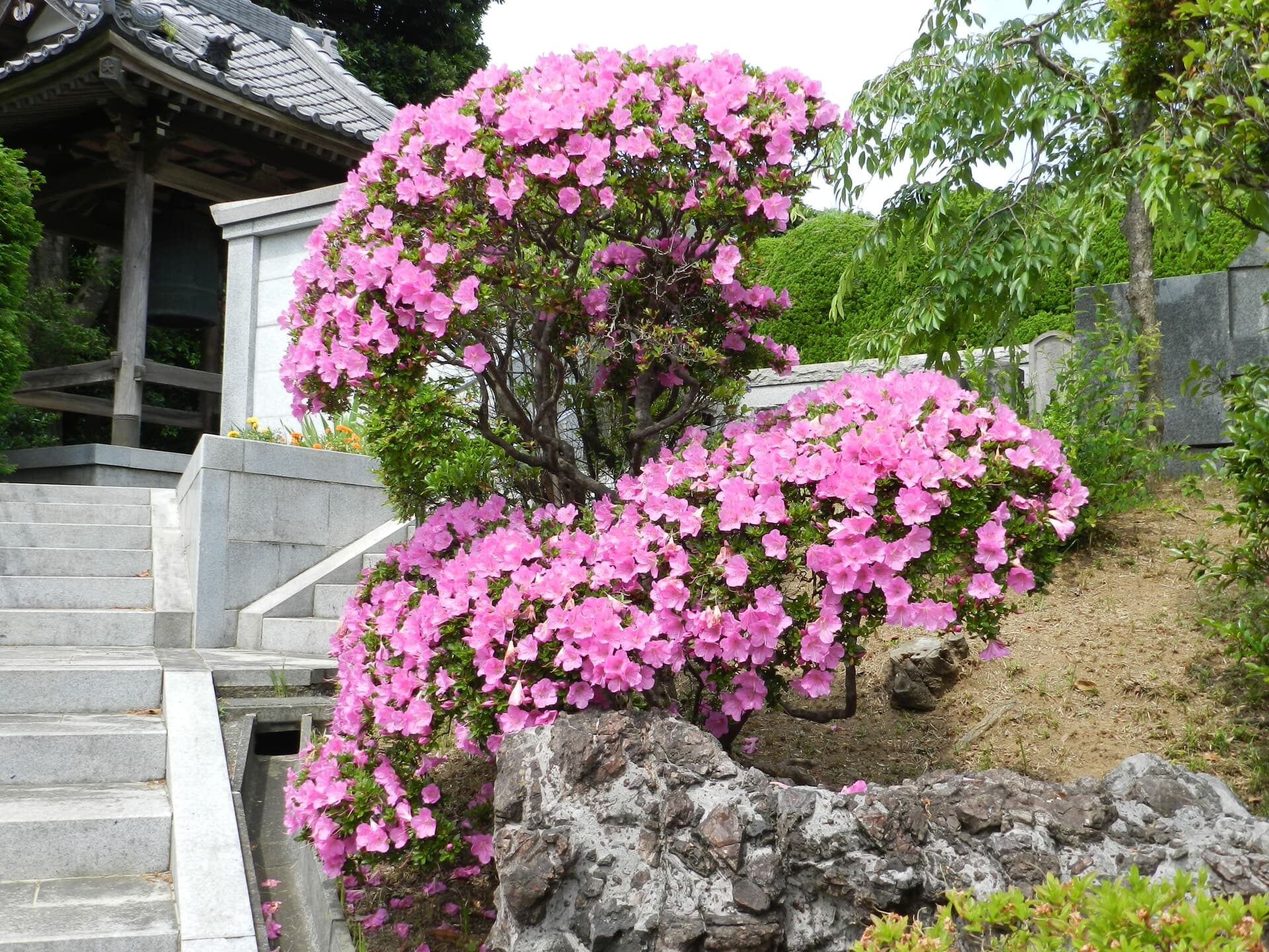 大光寺 写真3
