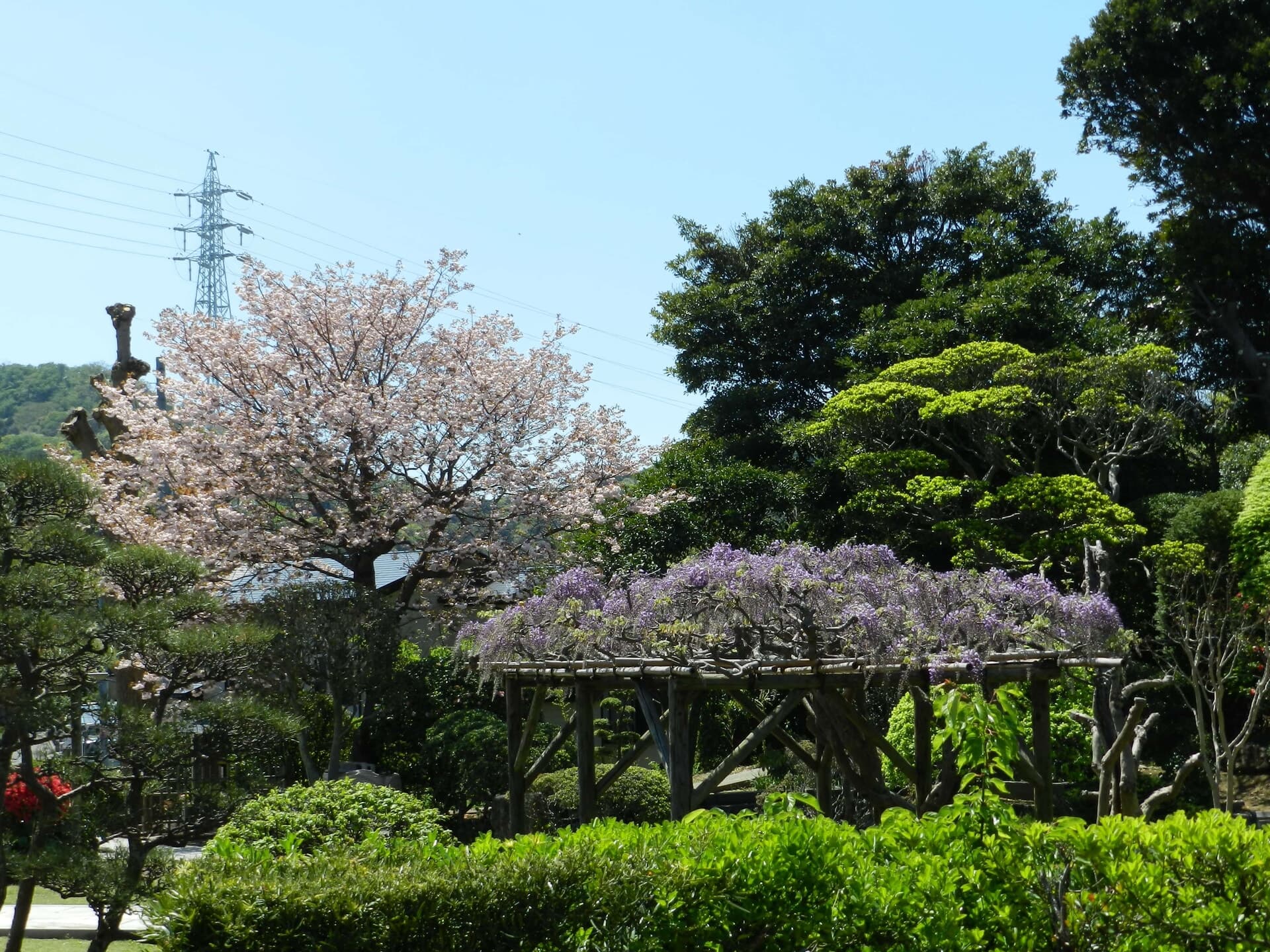 大光寺 写真7