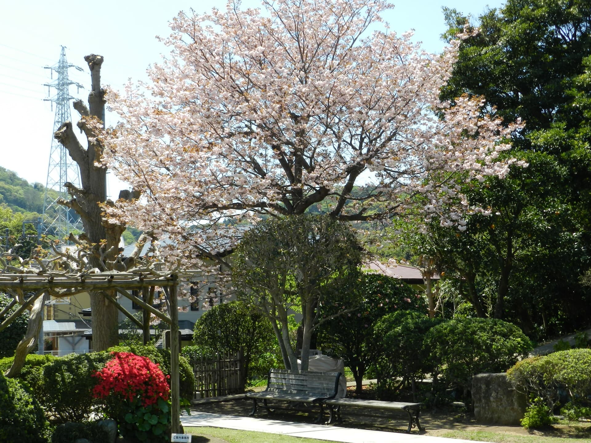大光寺 写真8