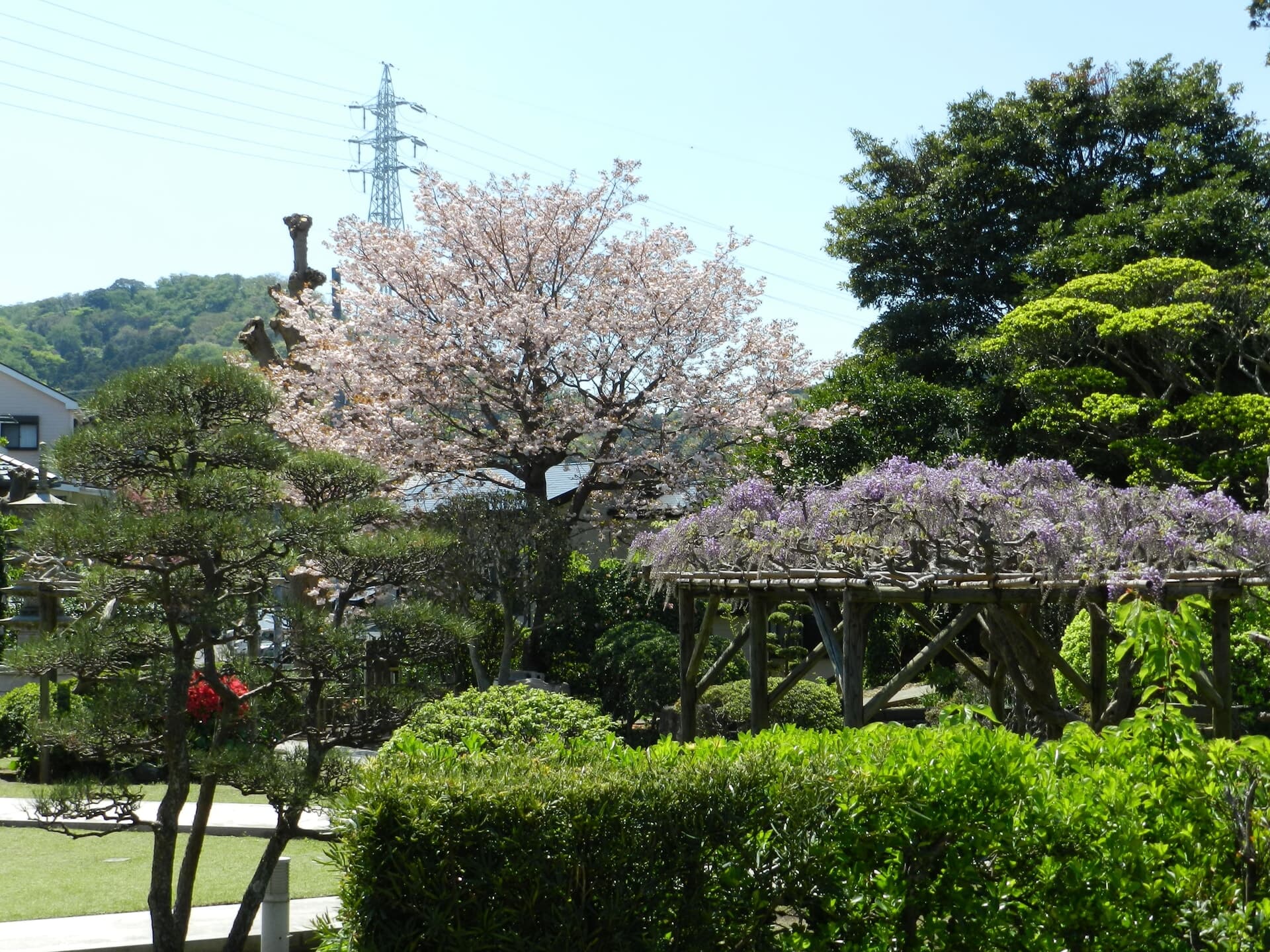 大光寺 写真9
